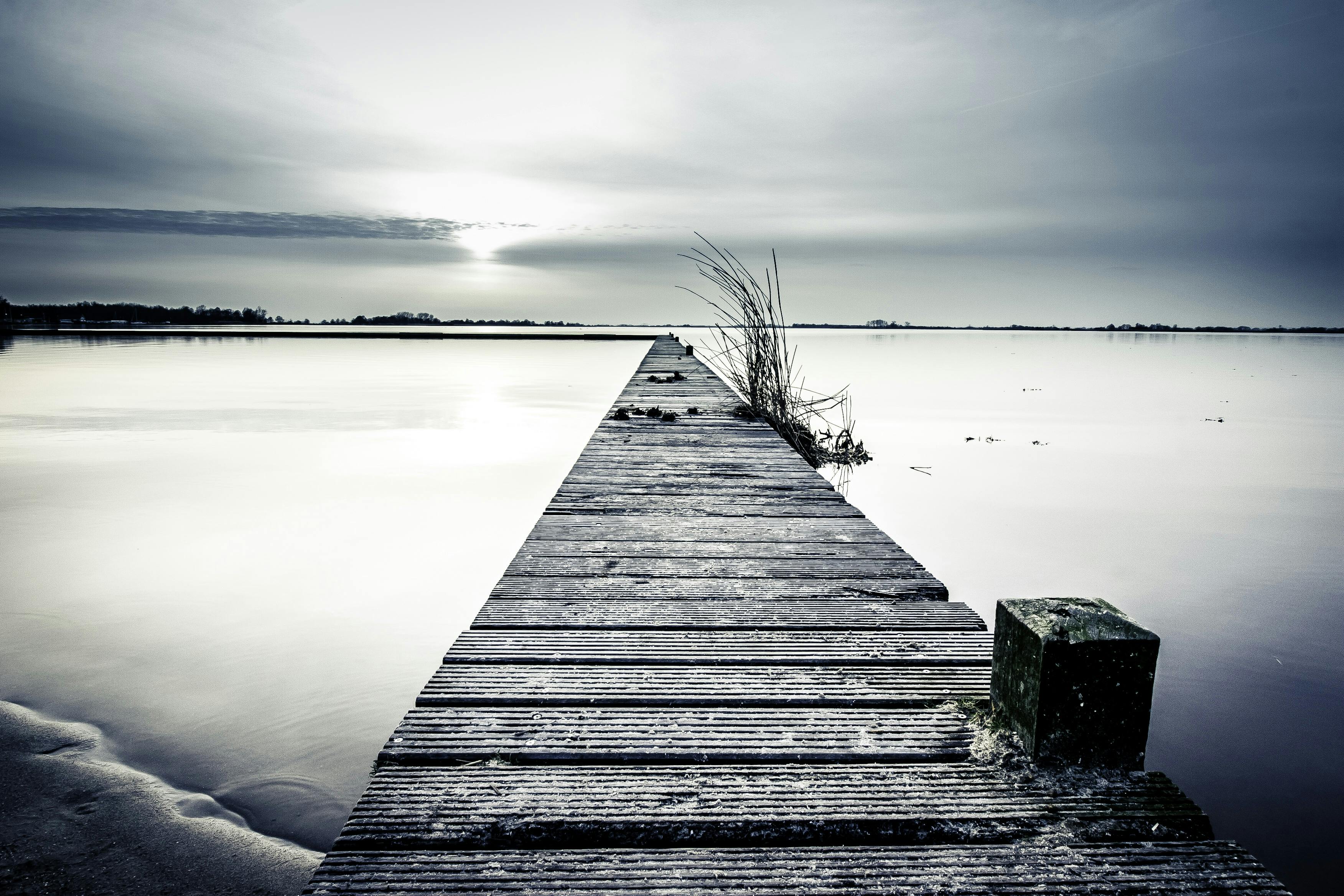 Free stock photo  of beach black  and white  boardwalk