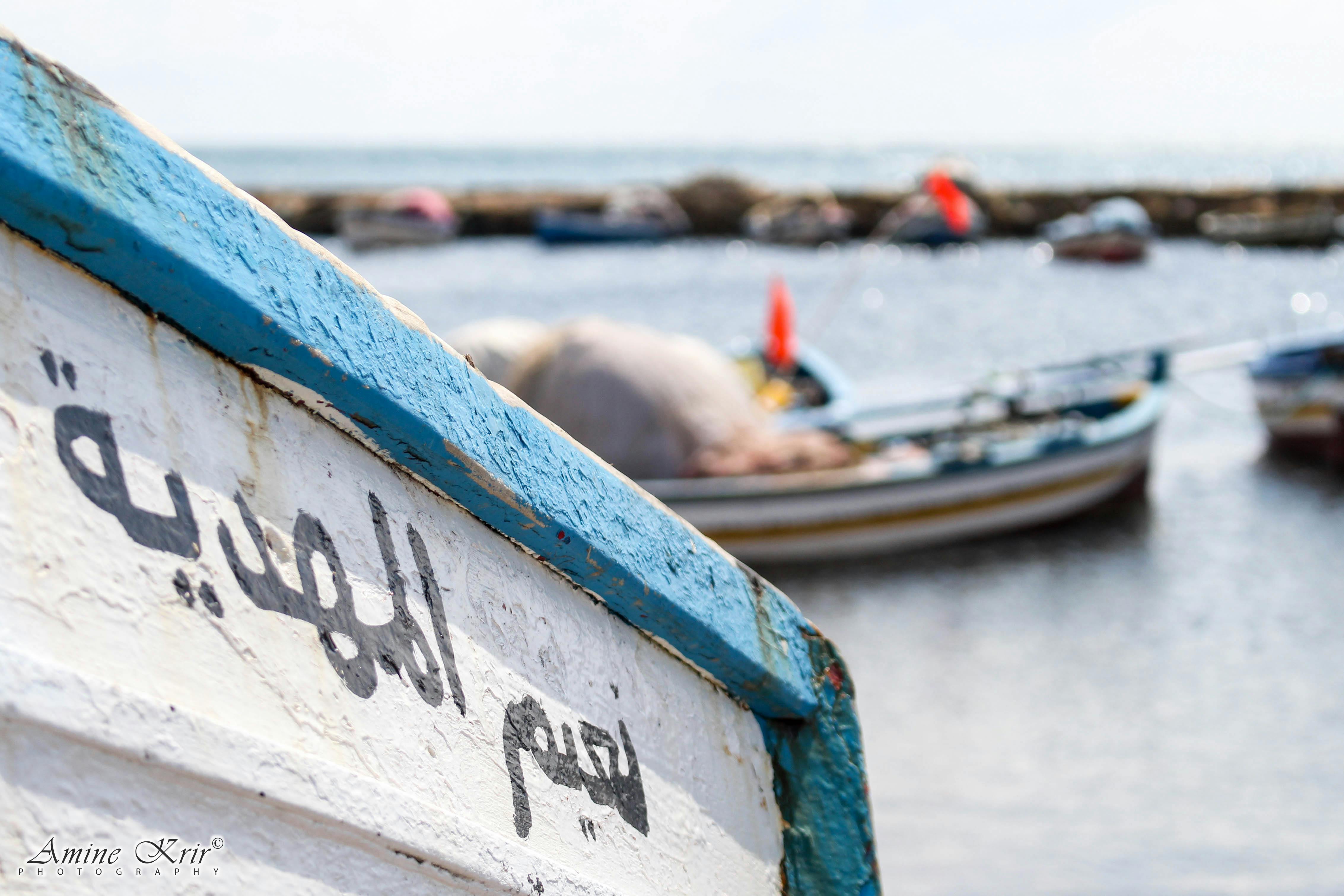 free-stock-photo-of-arabic-boat-fishing