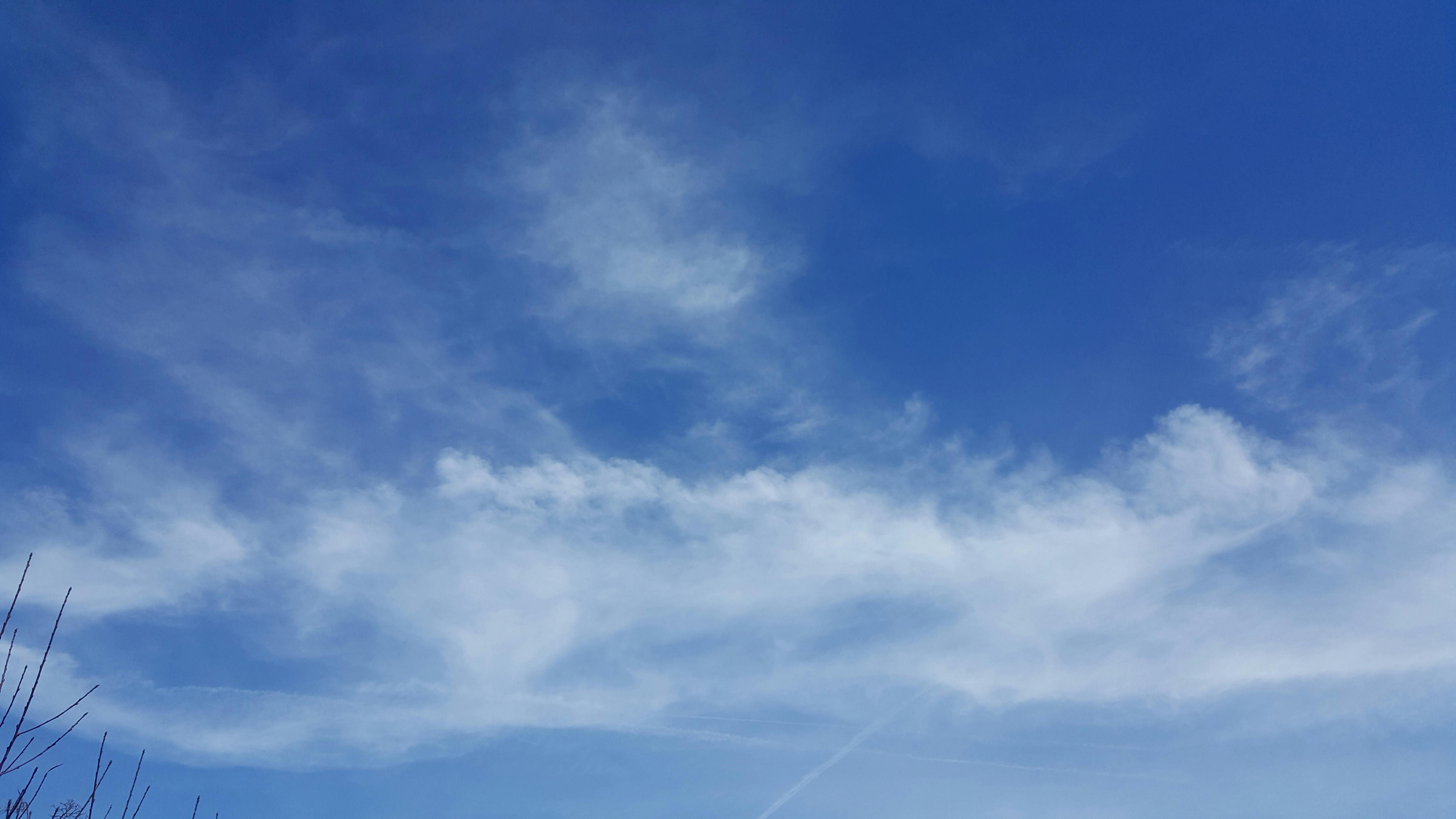 Free stock photo of blue sky, bright day, cloudy skies