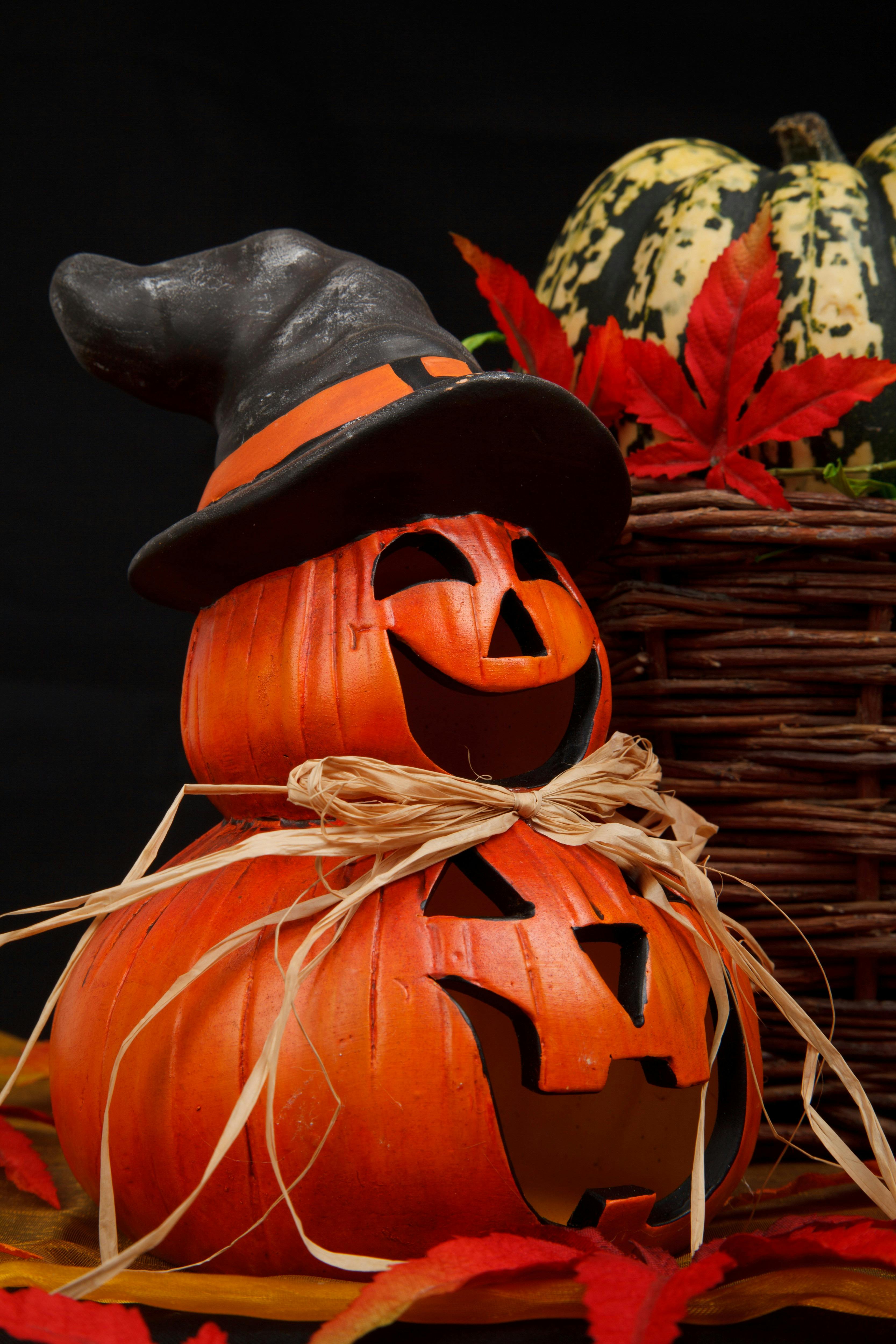 Free Stock Photo Of Autumn Decoration Halloween