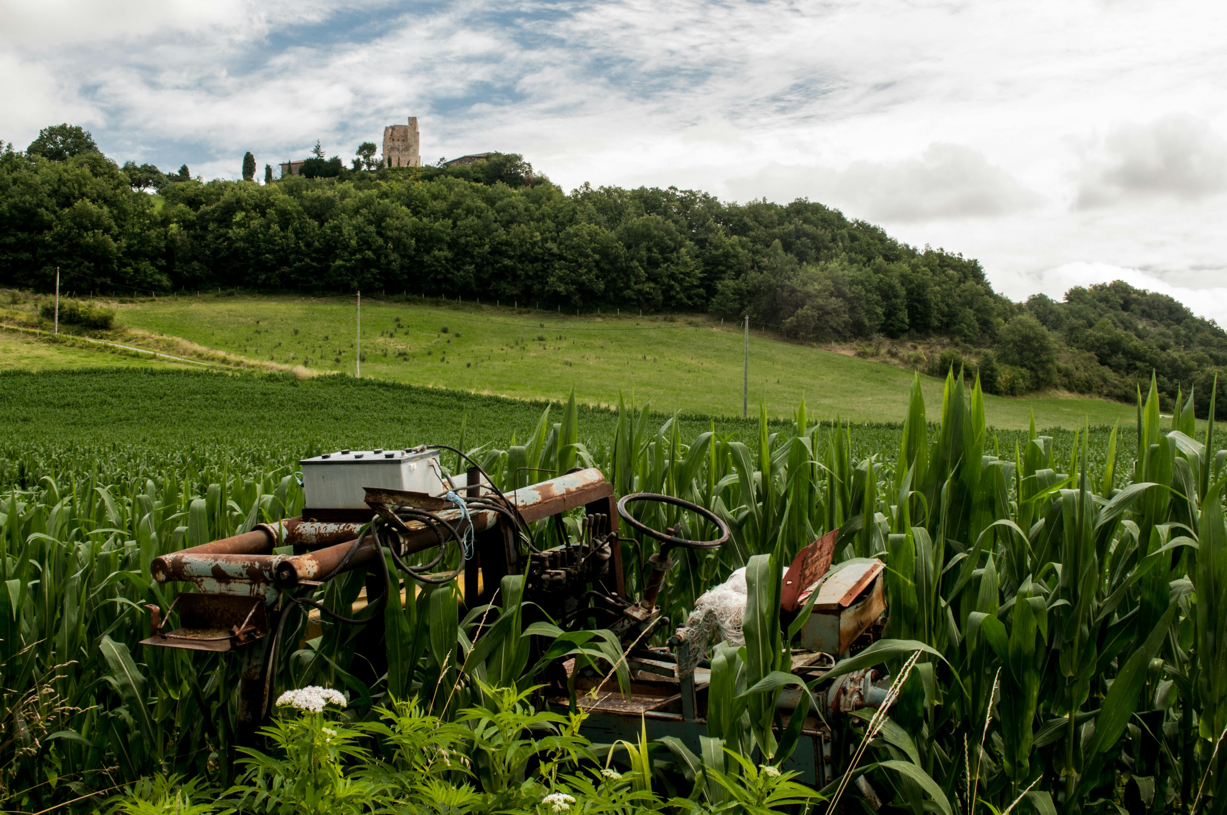Free stock photo of broken farm  field