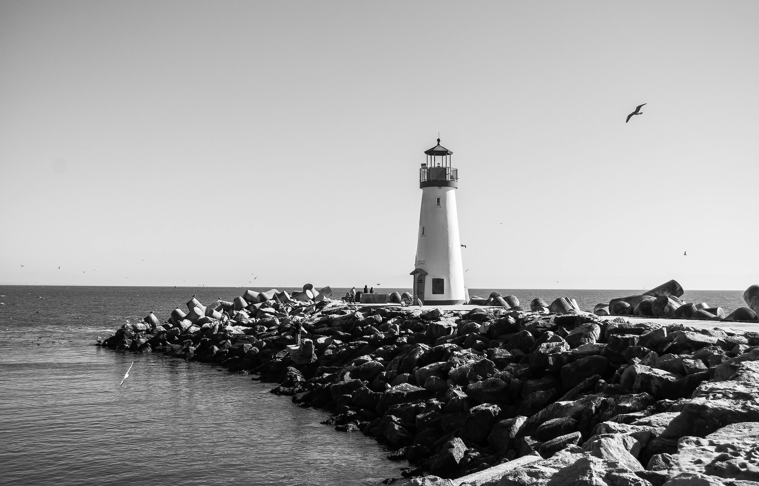 Free Stock Photo Of Black And White Lighthouse Ocean