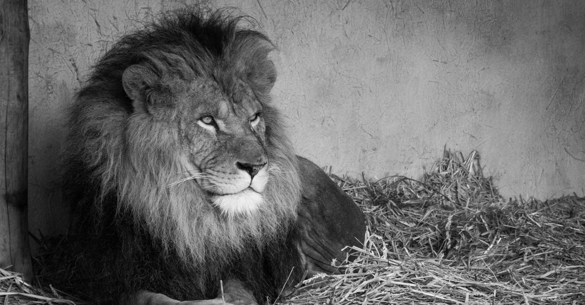 black-and-white-animal-boss-zoo-landscape.jpg