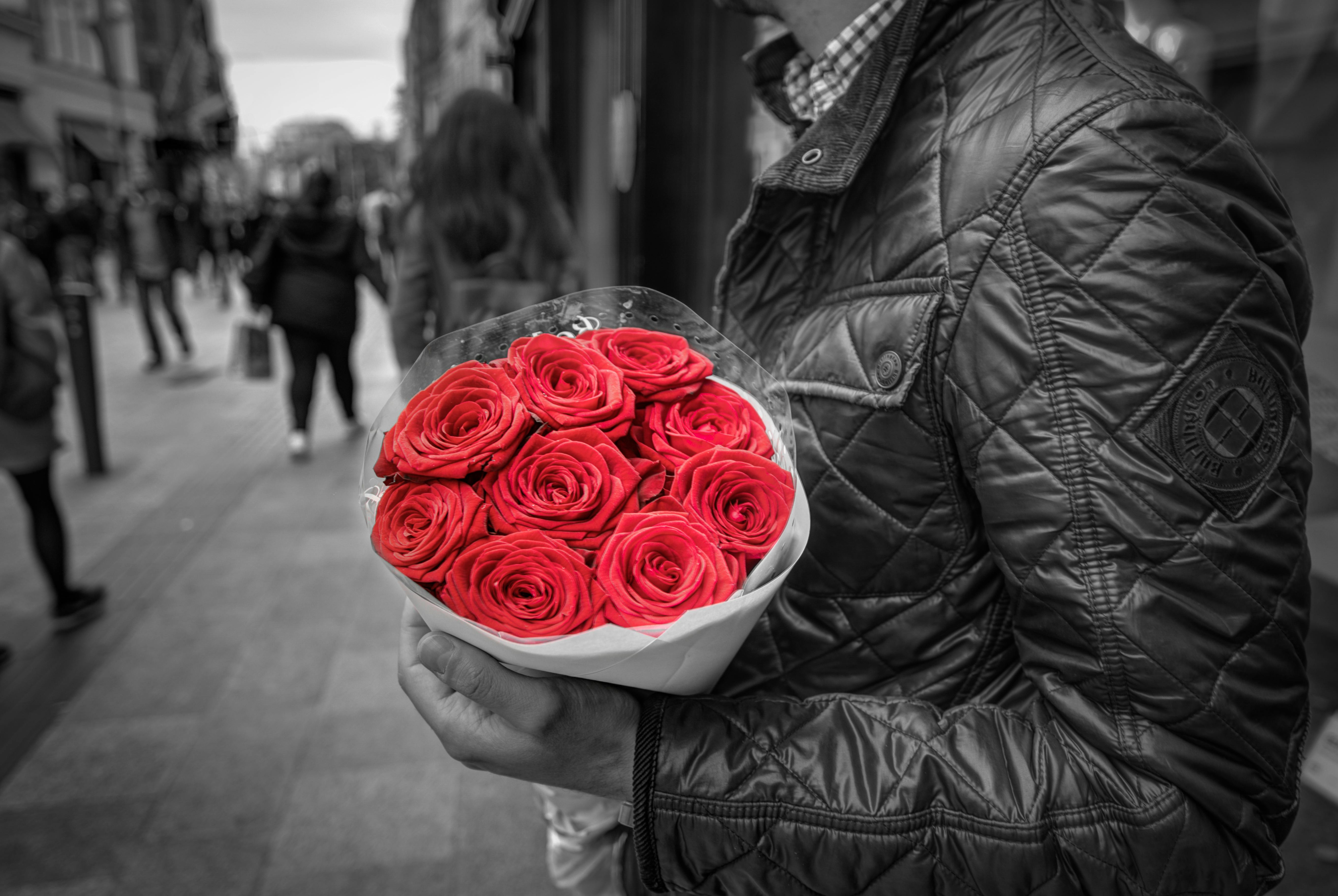 bouquet-roses-colorful-floral-428611.jpeg (5438×3641)