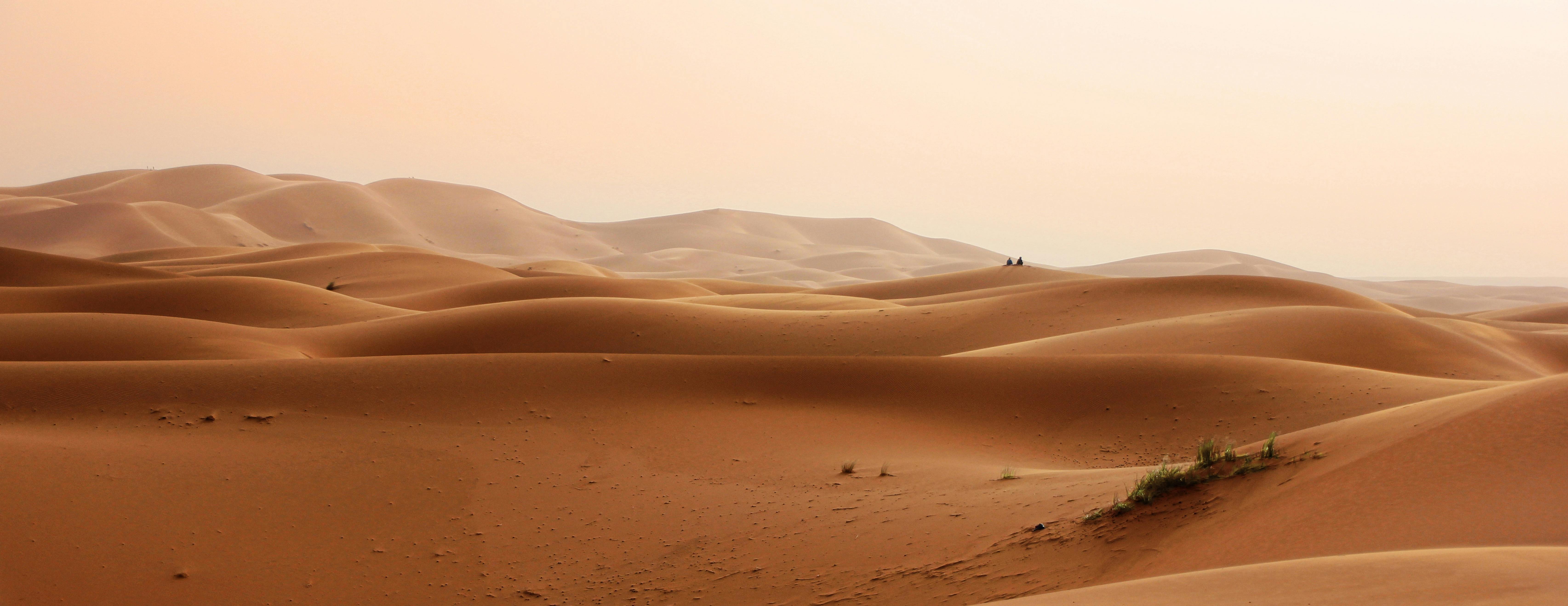 A sandy desert stretches as far as the eye can see. 