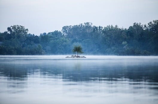 HD wallpaper of nature, forest, trees, lake