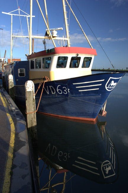 Free stock photo of boat, netherlands, reflex