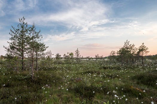 Free stock photo of landscape, nature, sky, sunset