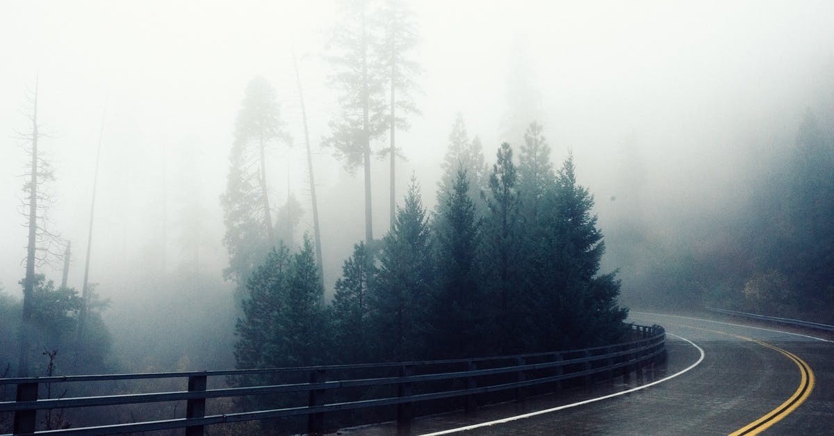 Free stock photo of bend, dangerous, fog