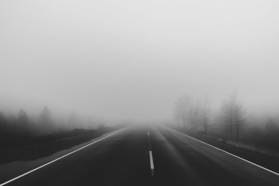 road, fog, foggy