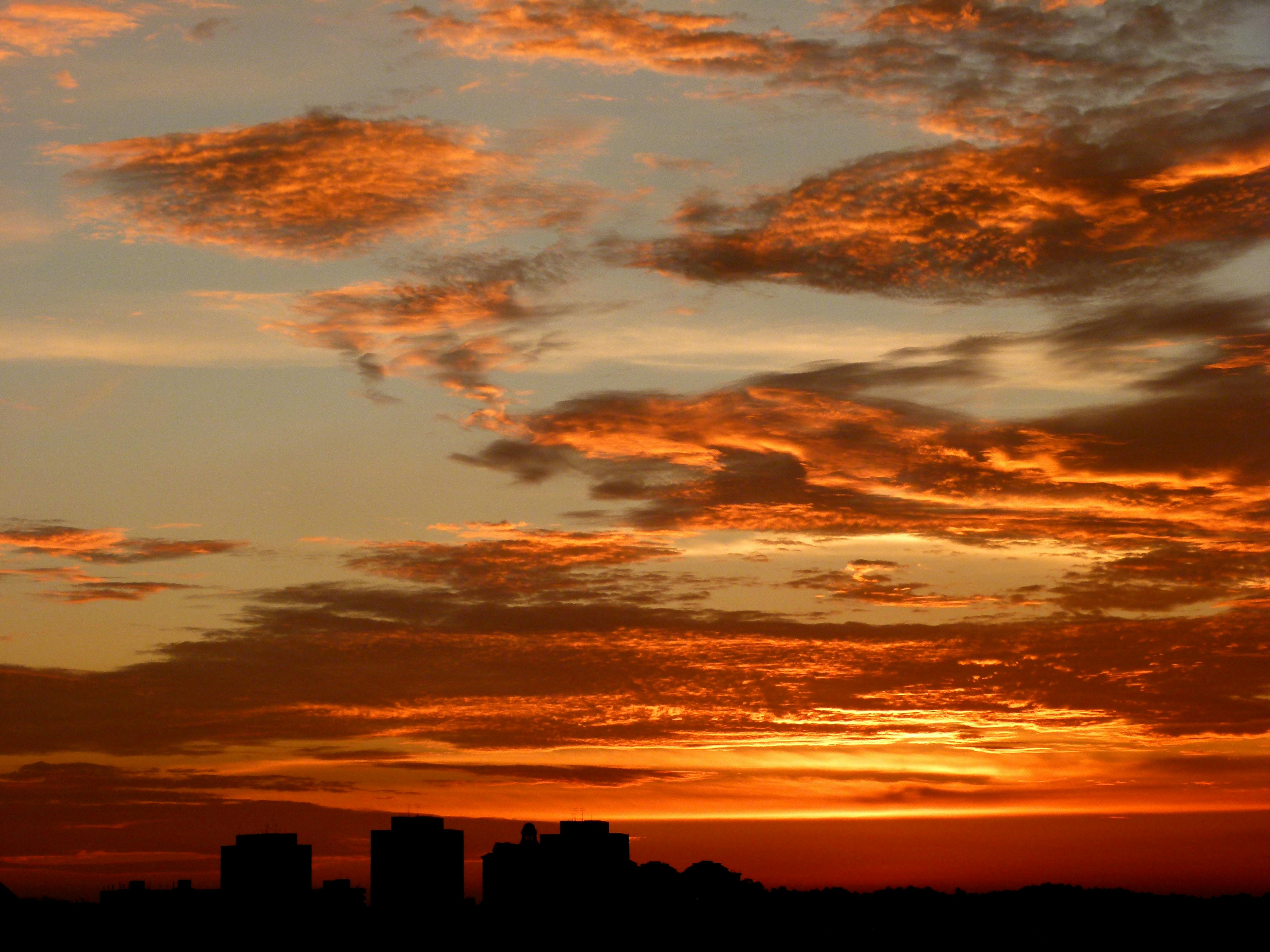 Orange Sky during Dawn · Free Stock Photo