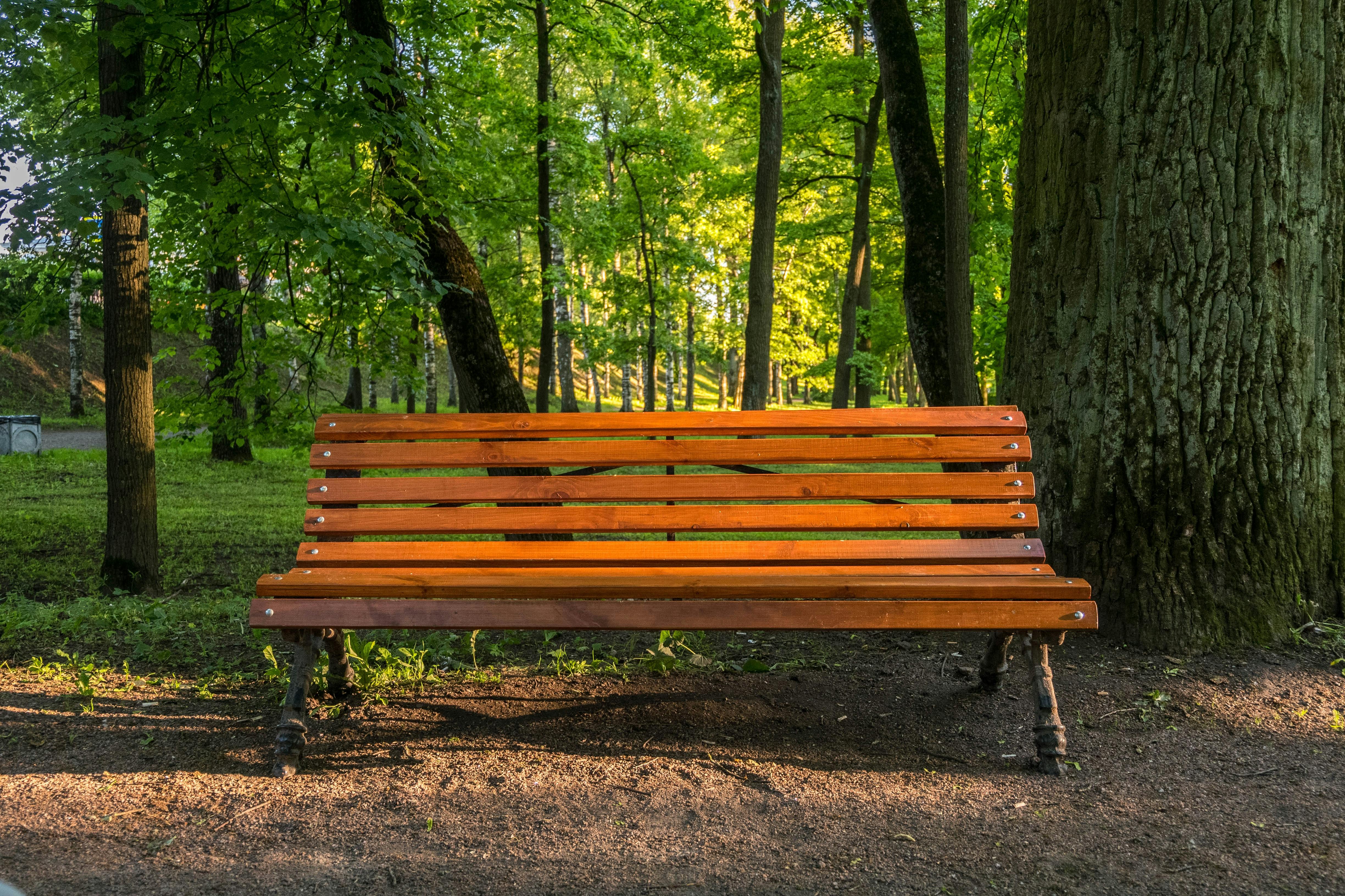 Free stock photo of beautiful, bench, brown