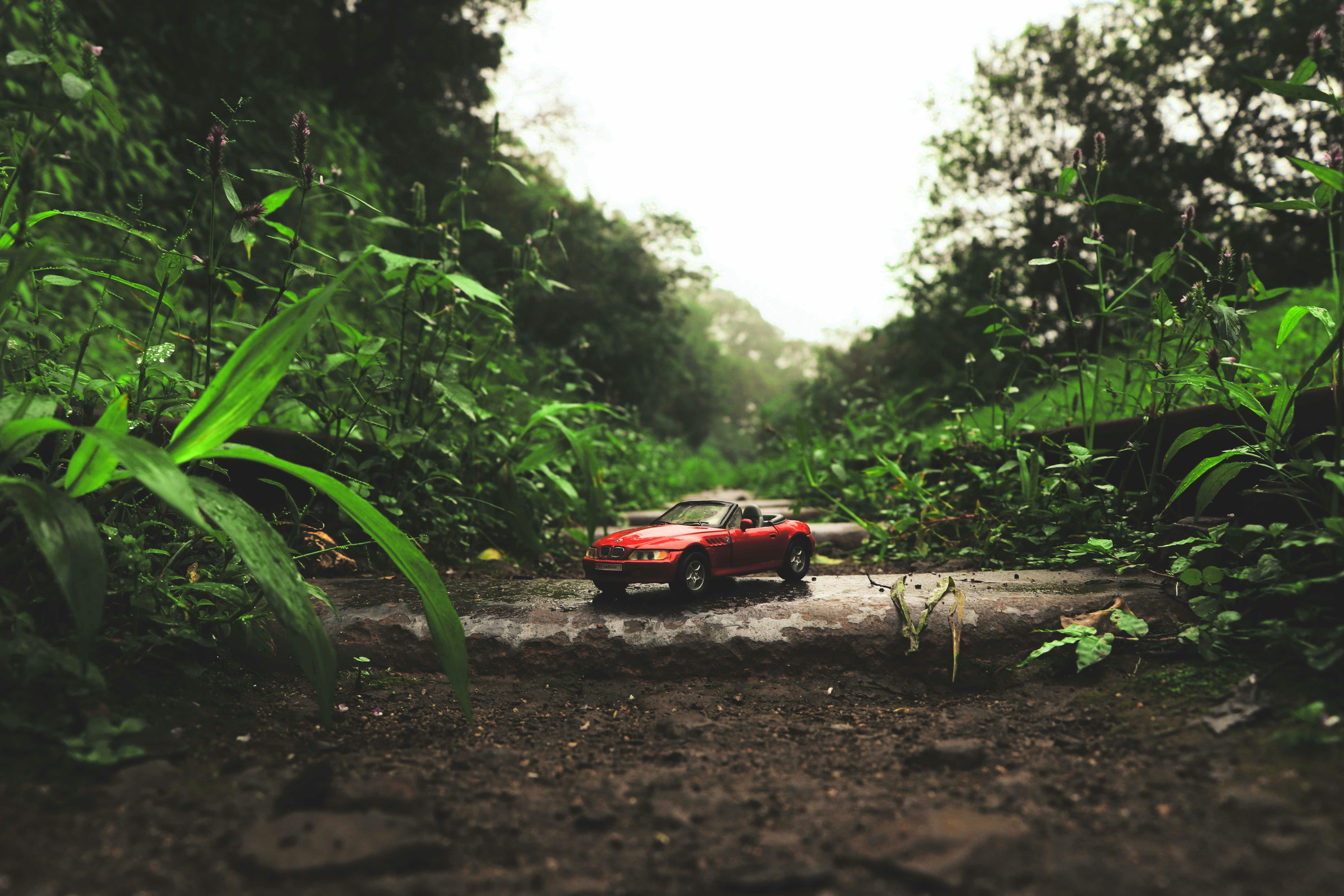 Toy car exploring offroad.
