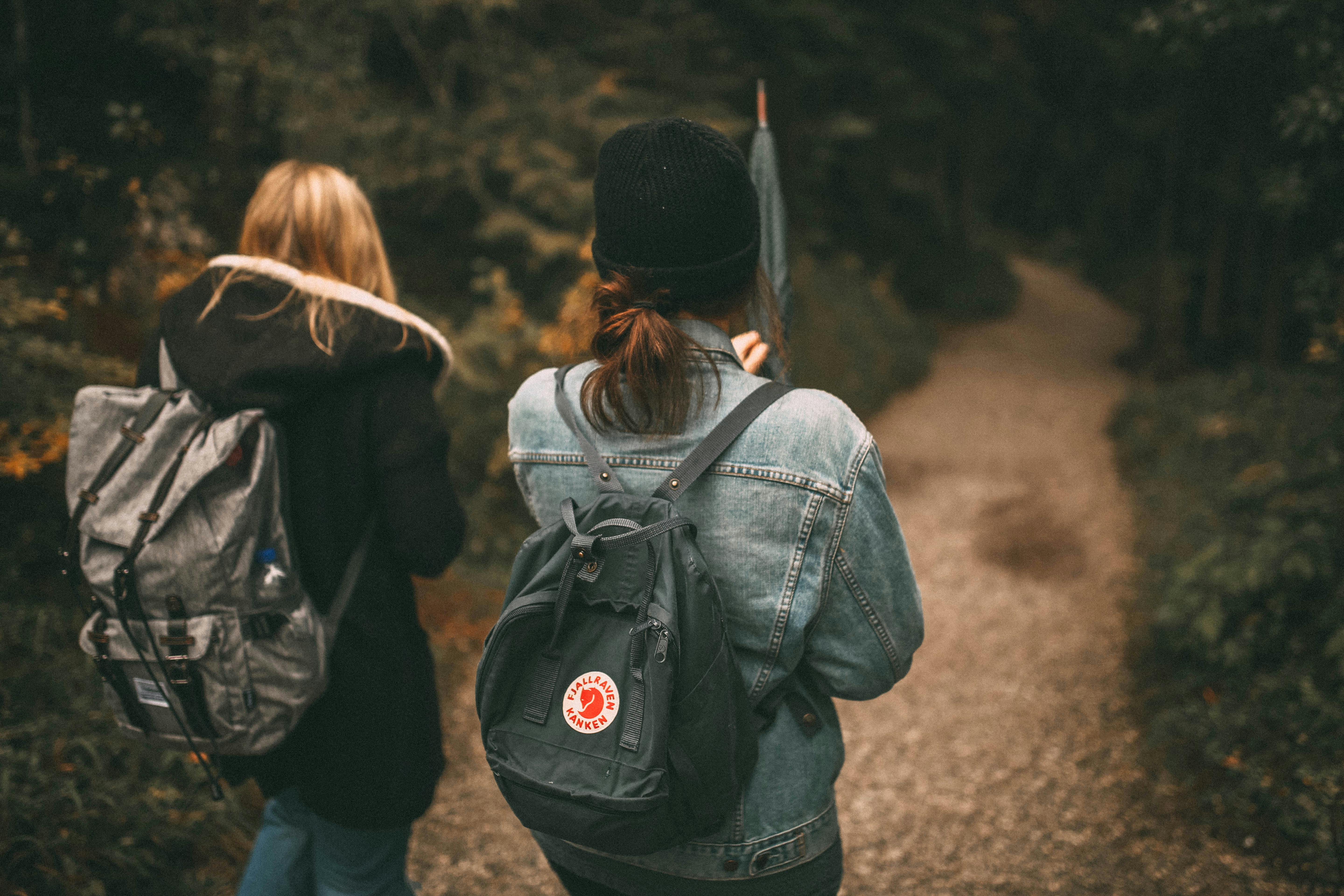 Free stock photo of backpack, environment, forest