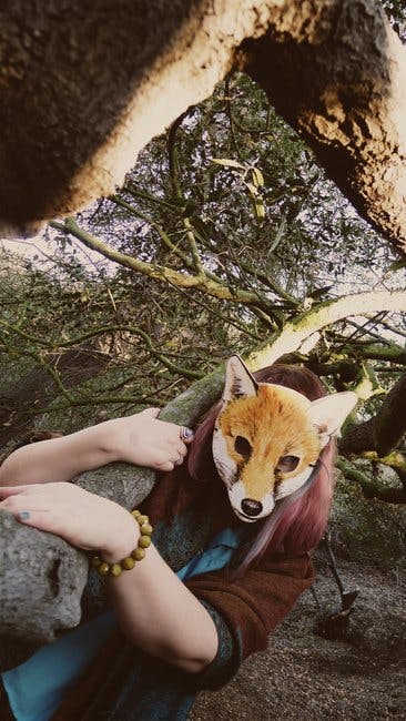 Free stock photo of fox, mask, outdoors