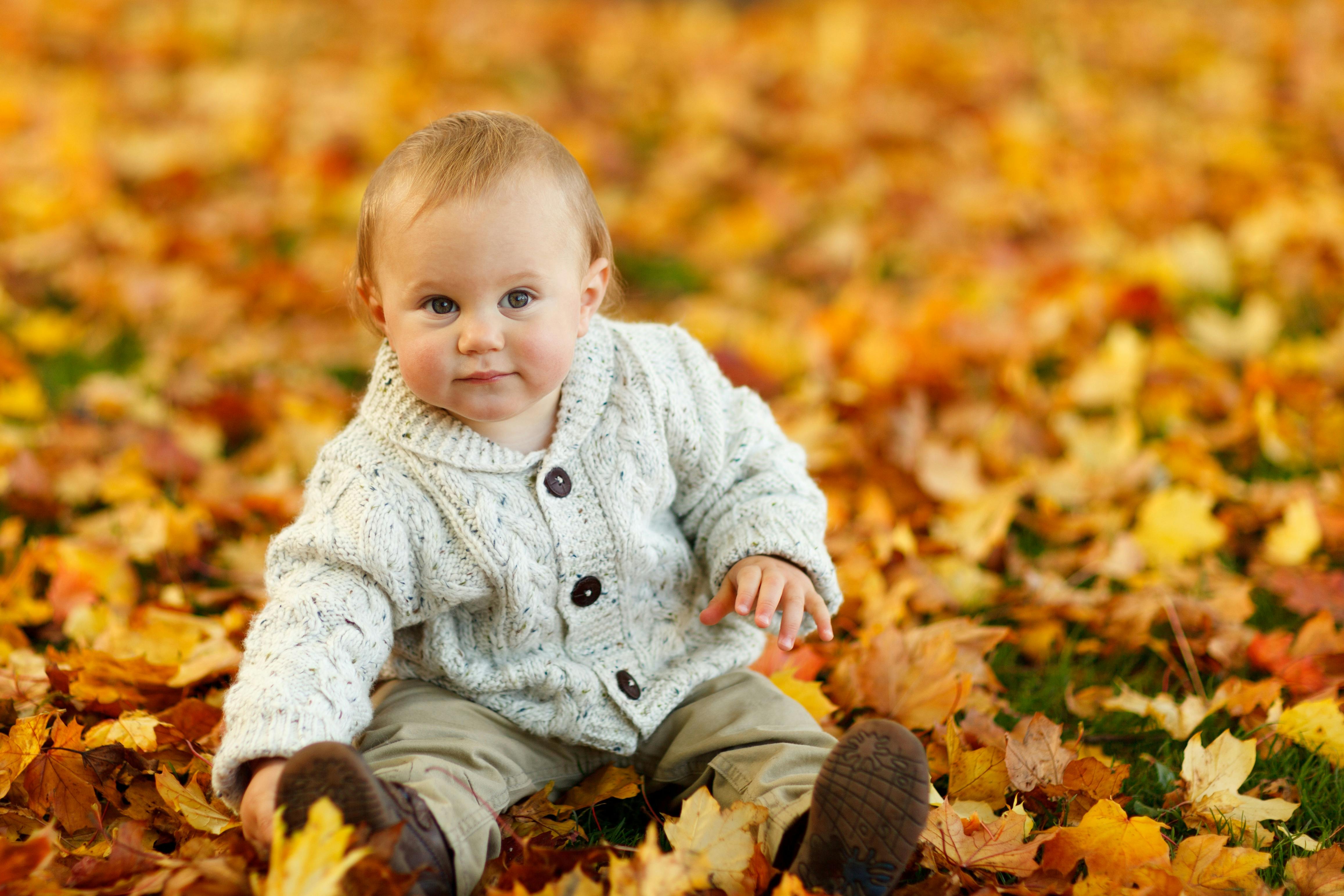 autumn-fall-baby-boy-child-59865.jpeg (4629×3086)