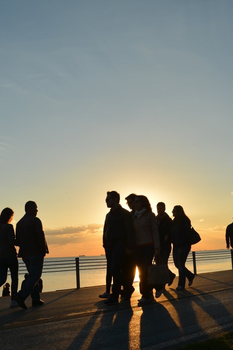 Silhouette of People Near Seashore during Sunset · Free Stock Photo