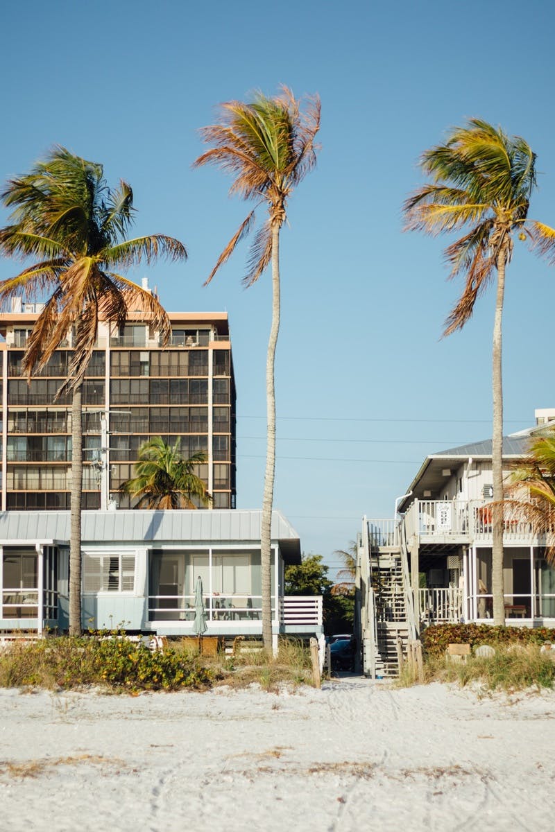 Palm Trees and Buildings Under Blue Sky during Daytime · Free Stock Photo