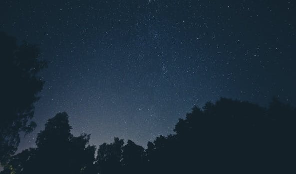 HD wallpaper of sky, night, space, trees