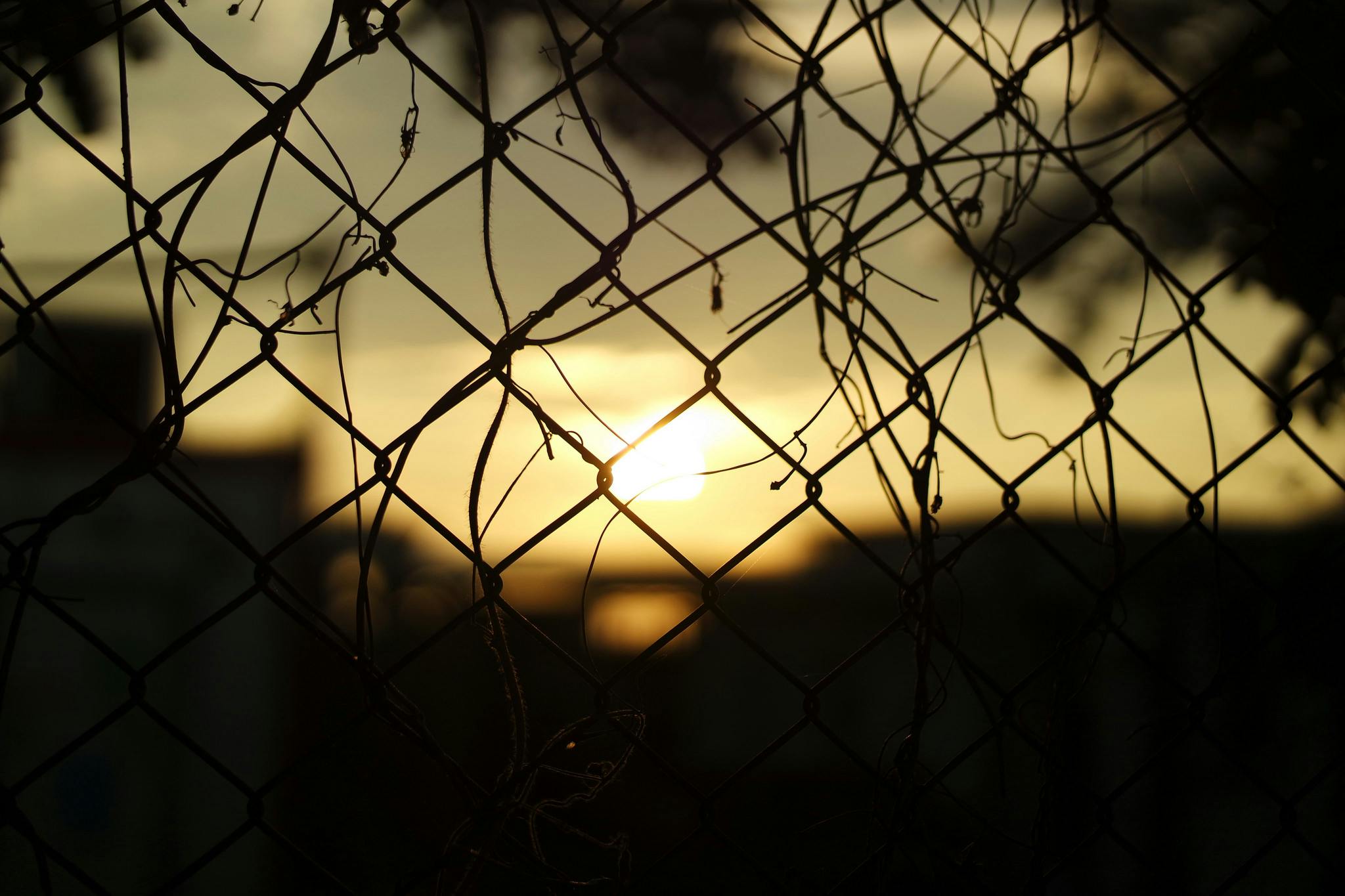 Silhouette Fence during Sunset · Free Stock Photo