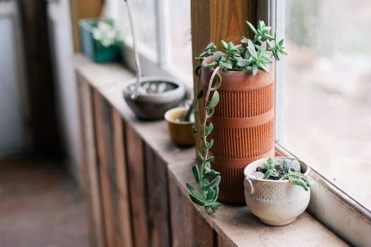 Free stock photo of flowerpots, window-sill