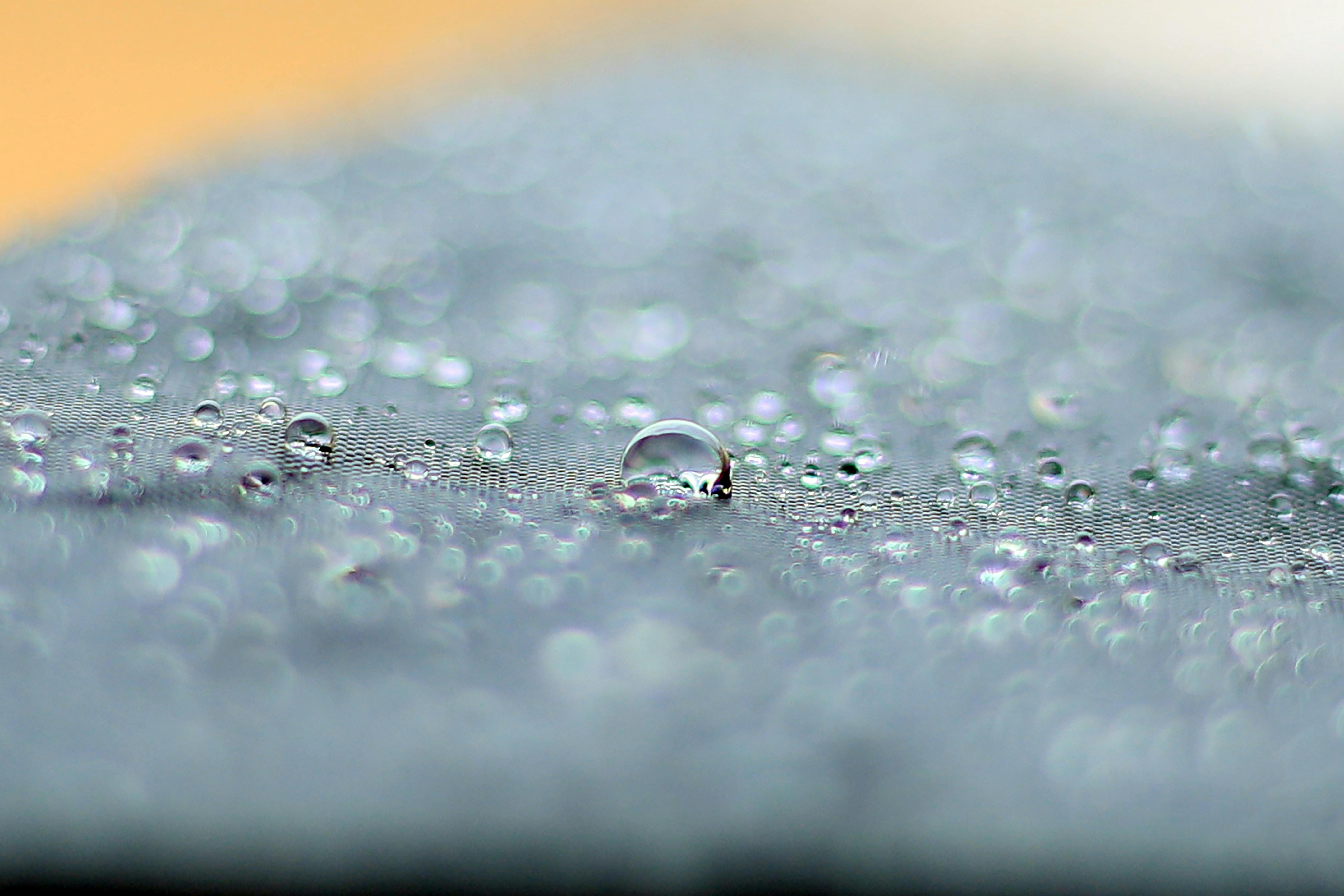  Macro  Photography of Water  Droplets  Free Stock Photo 