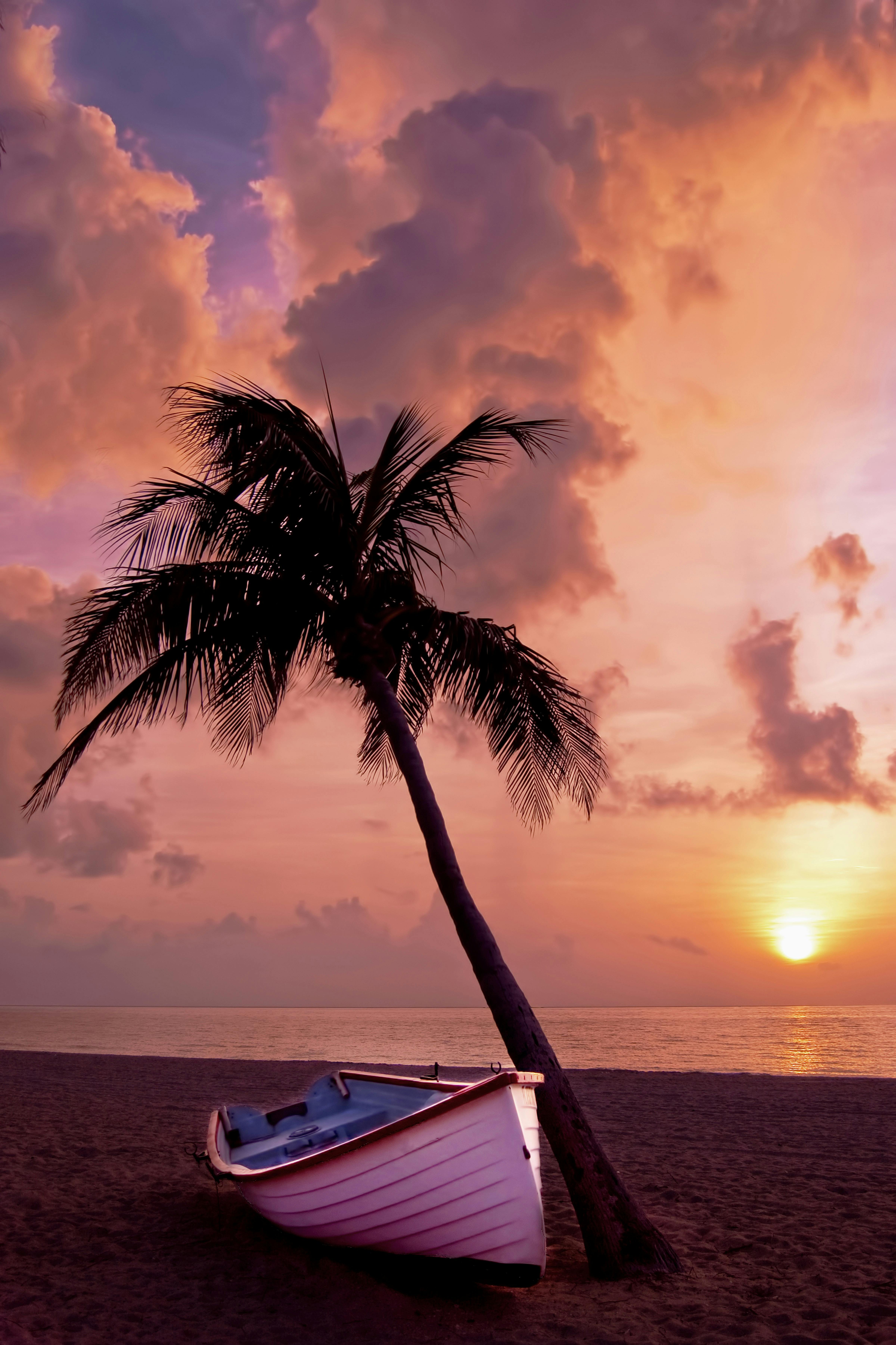 White Boat Beside Tree Under Orange Sky during Sunset 