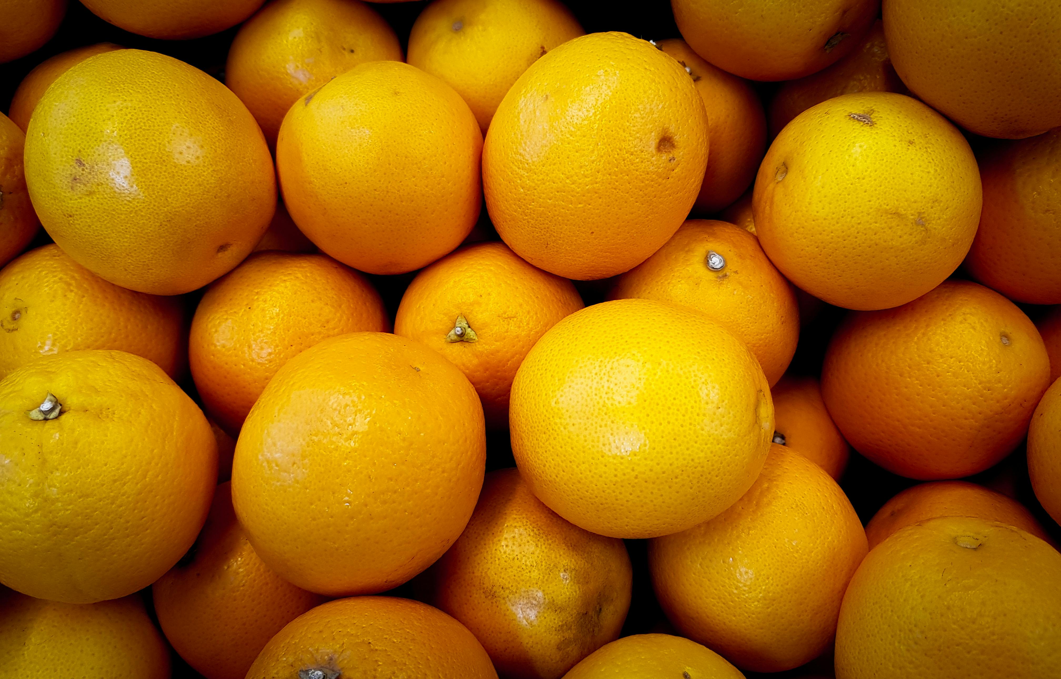  Orange  Fruits   Free Stock Photo
