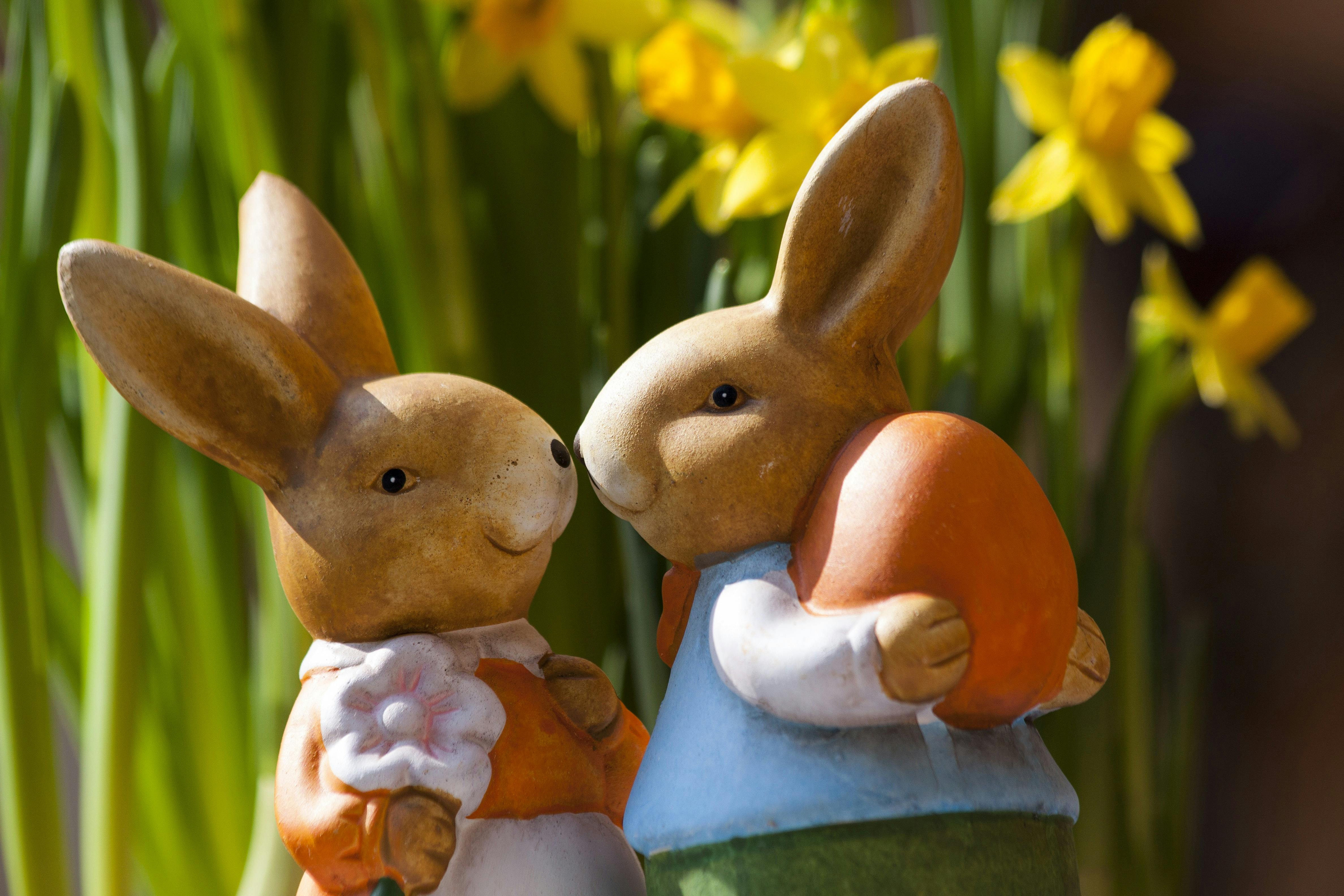easter-bunny-easter-rabbit-bunny-couple-69816.jpeg (4752×3168)