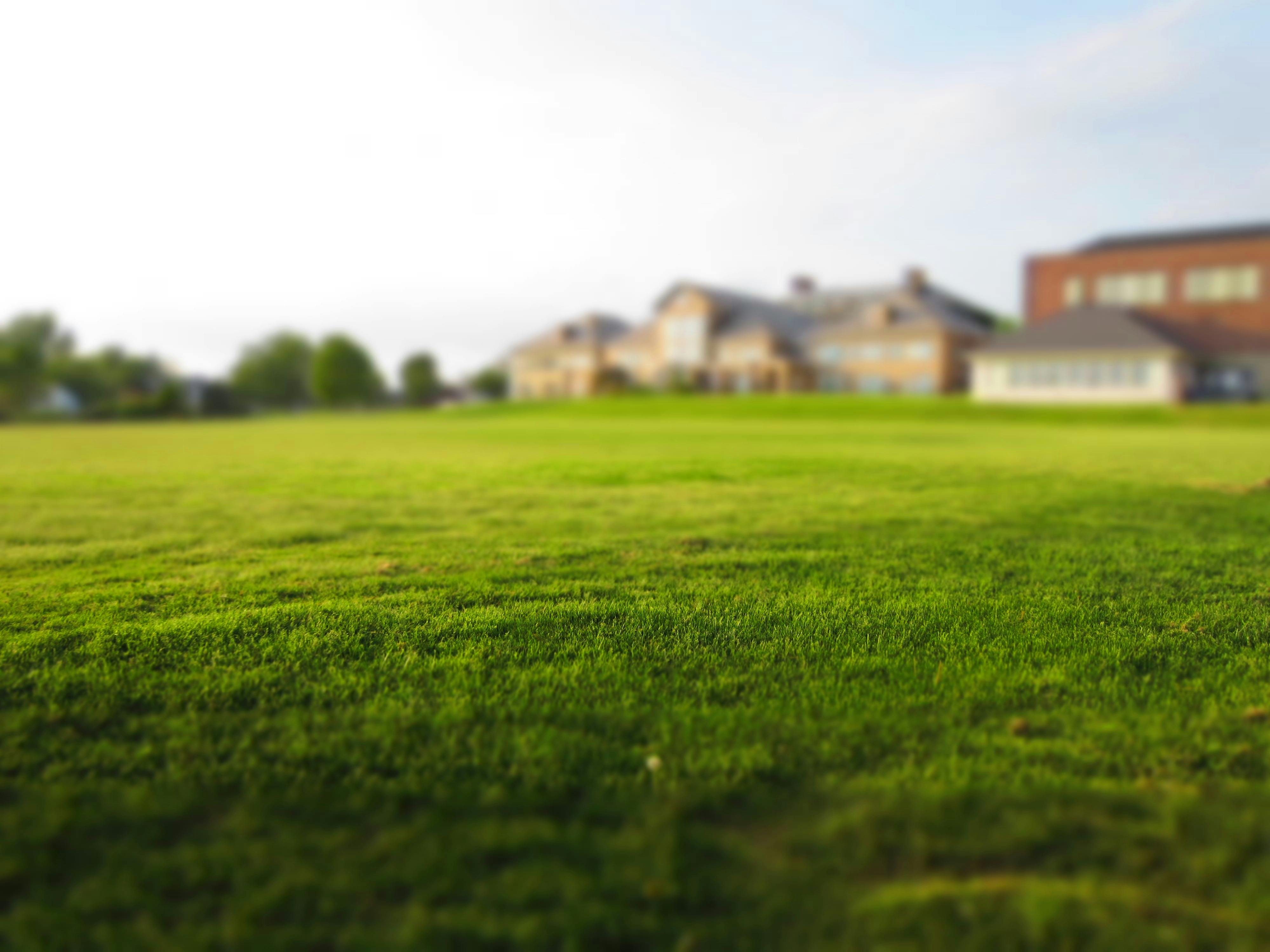 Free stock photo of estate grass meadow