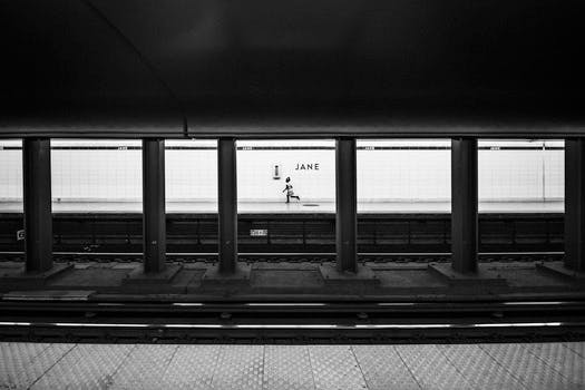 Free stock photo of black-and-white, public transportation, underground, train station