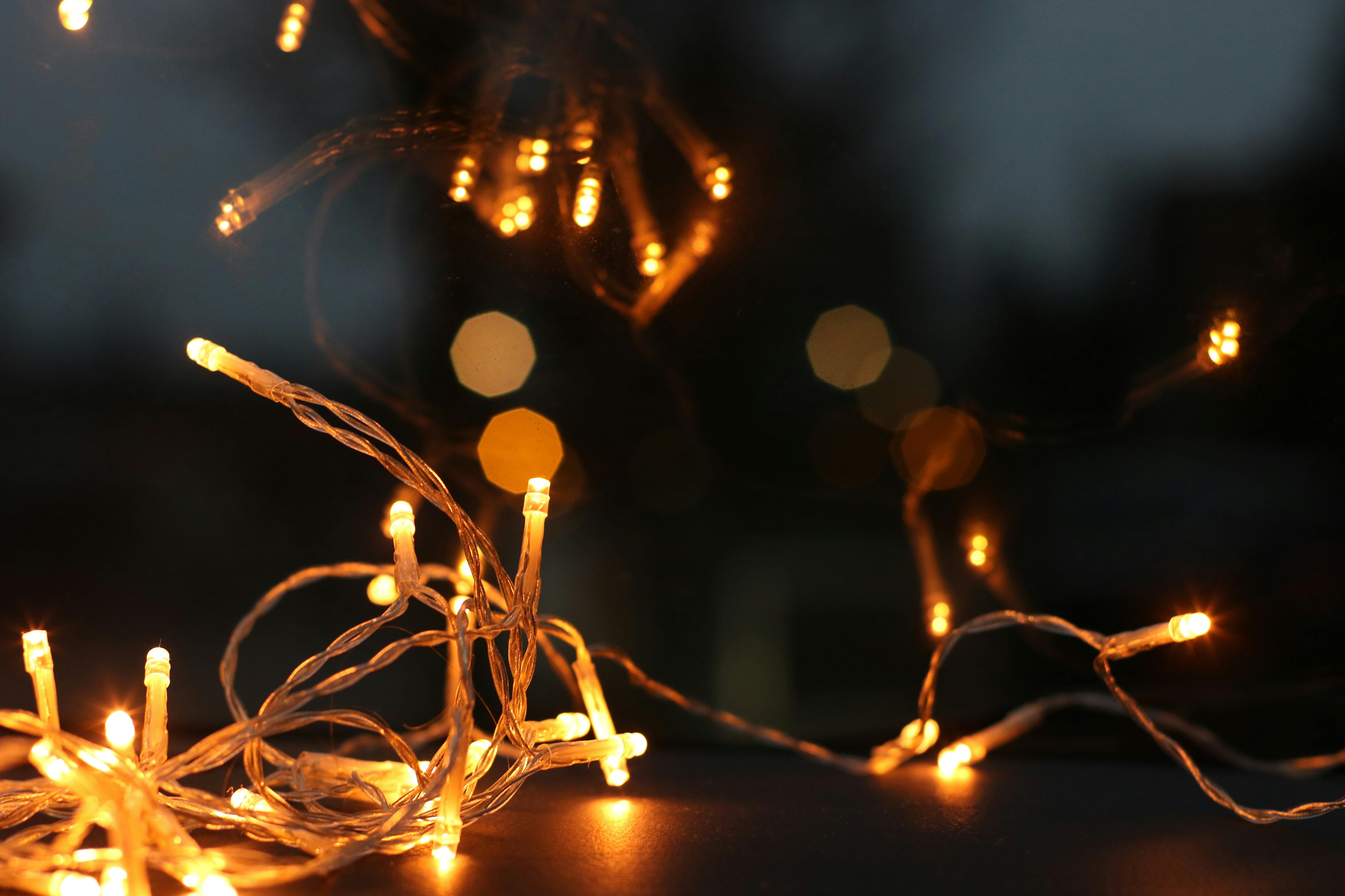 Shallow Focus Photography  of String Lights  Free Stock Photo 
