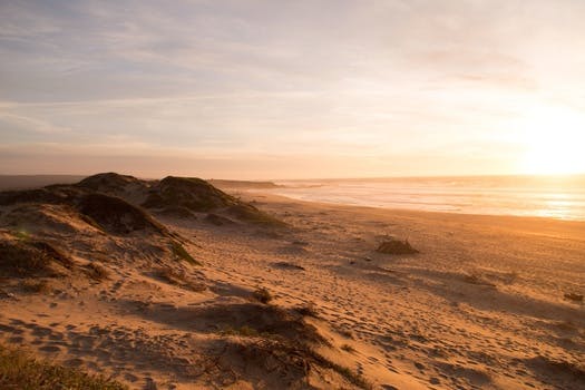 Free stock photo of landscape, sunset, beach, sand