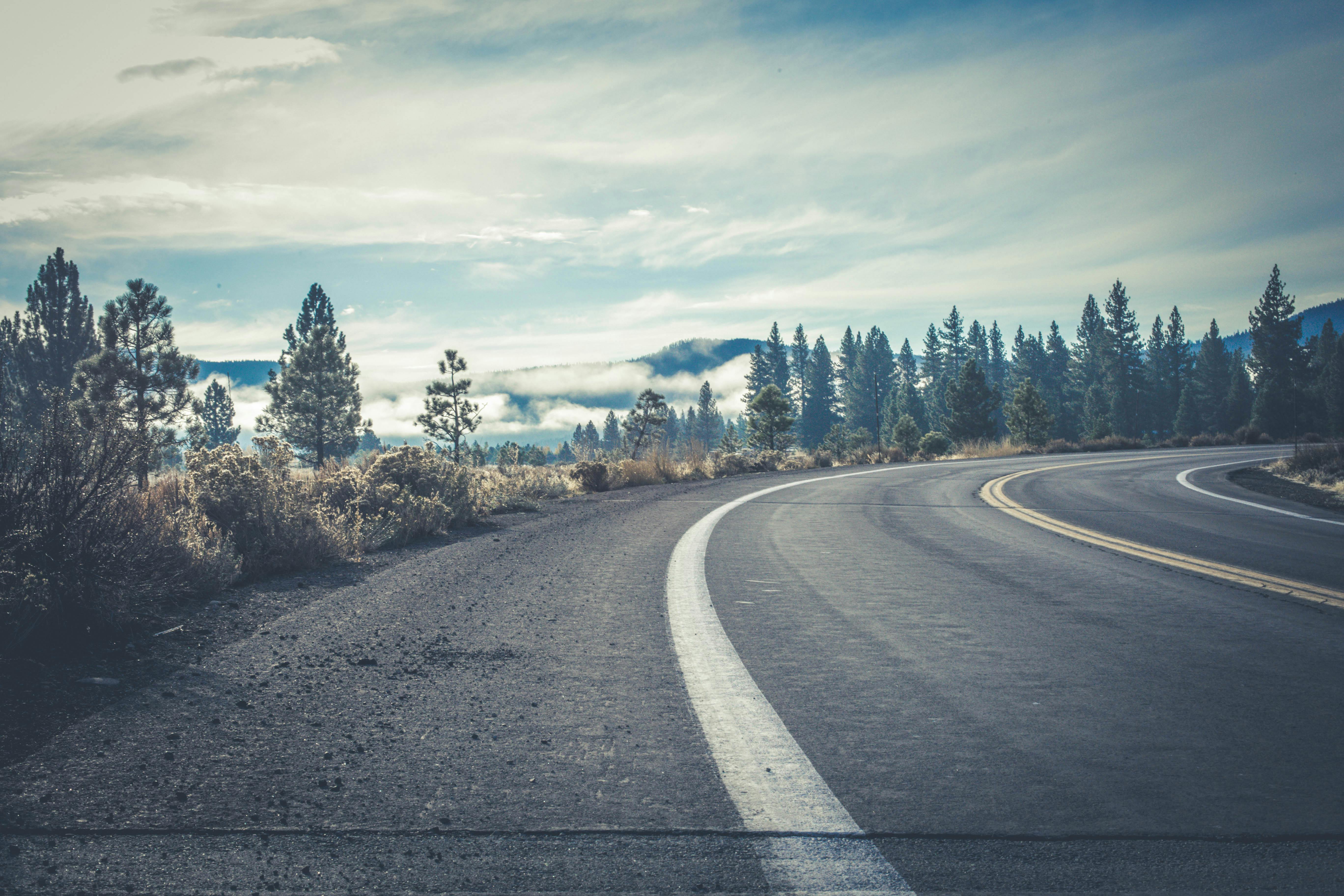 Gray Concrete Road Near Forest · Free Stock Photo