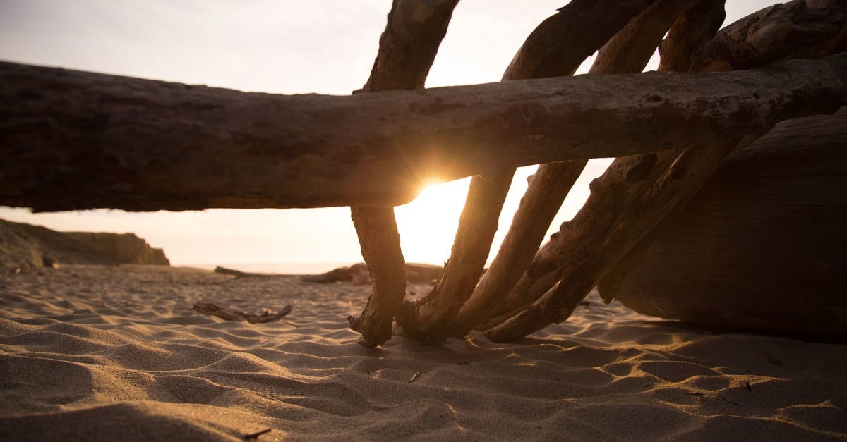 Free stock photo of beach, sand, sea