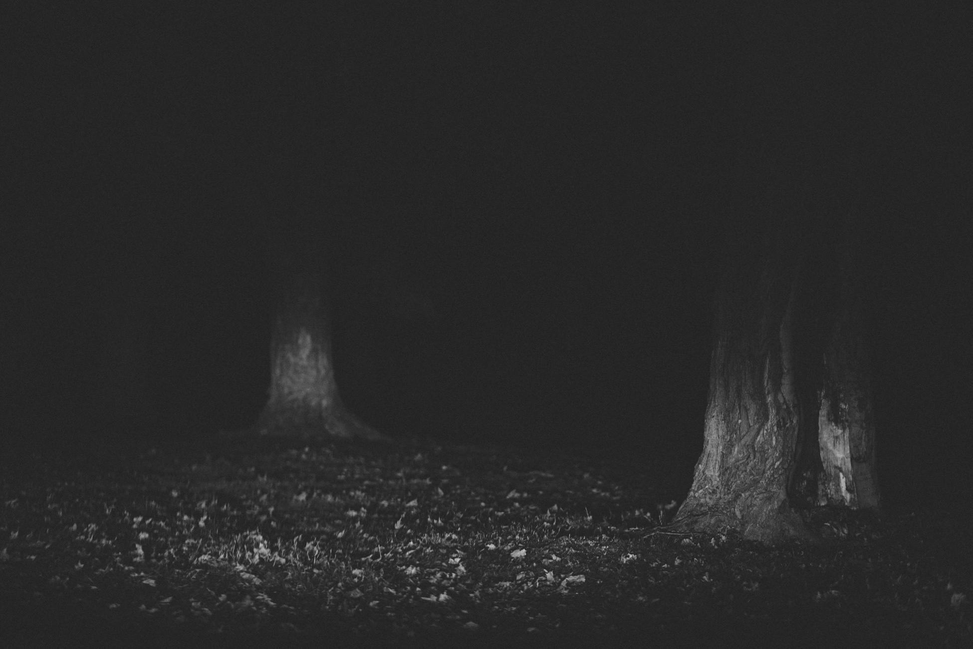 dark-creepy-spooky-woods-79491.jpeg