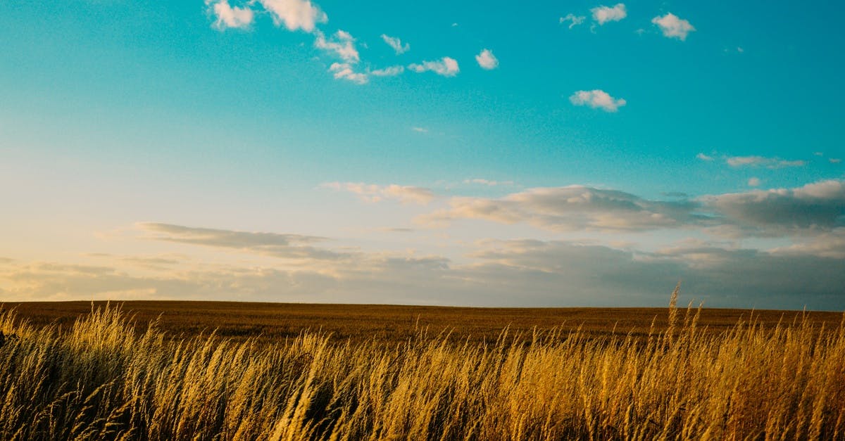 Free stock photo of agriculture, countryside, field