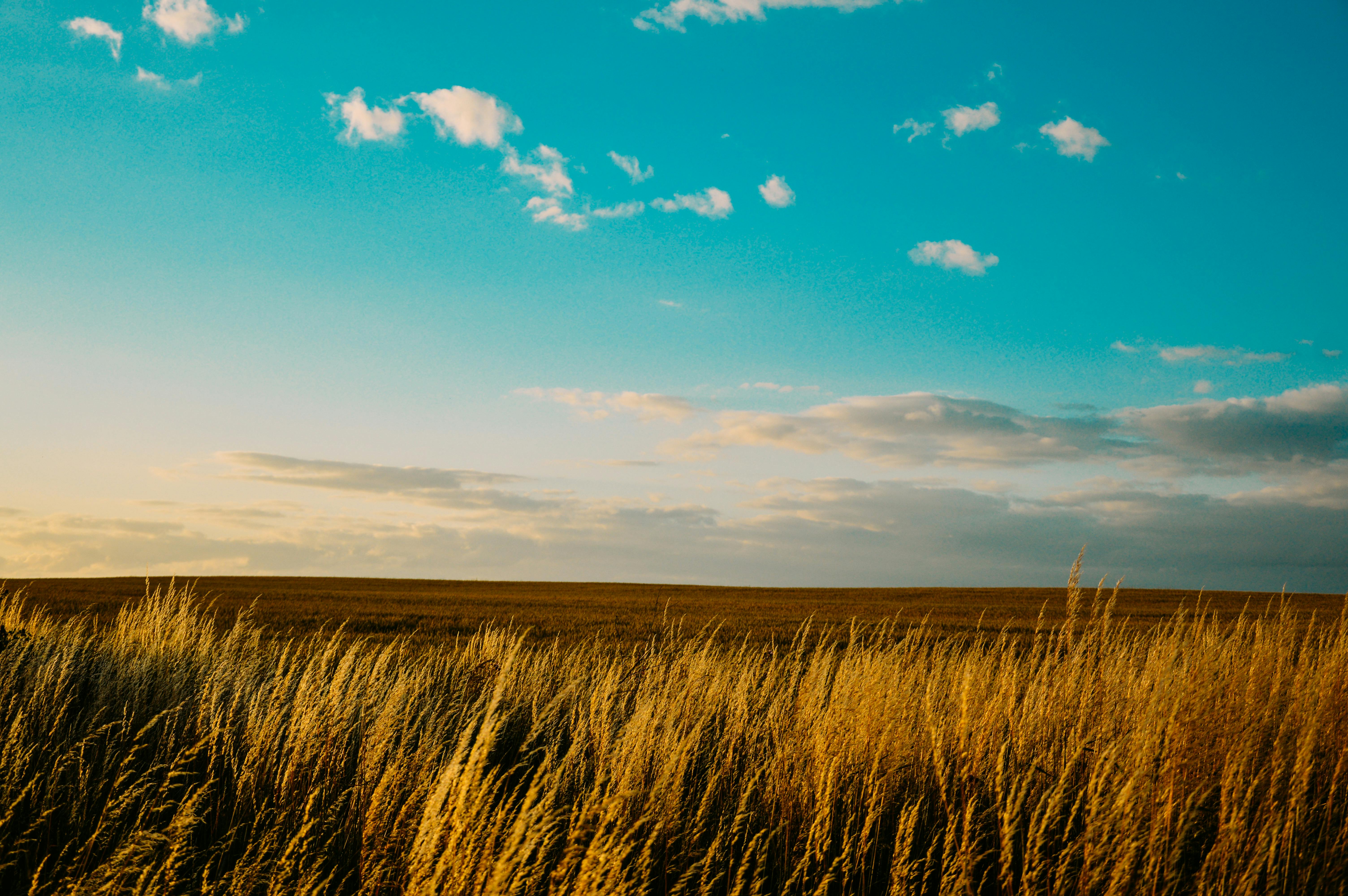  Free stock photo of agriculture countryside field