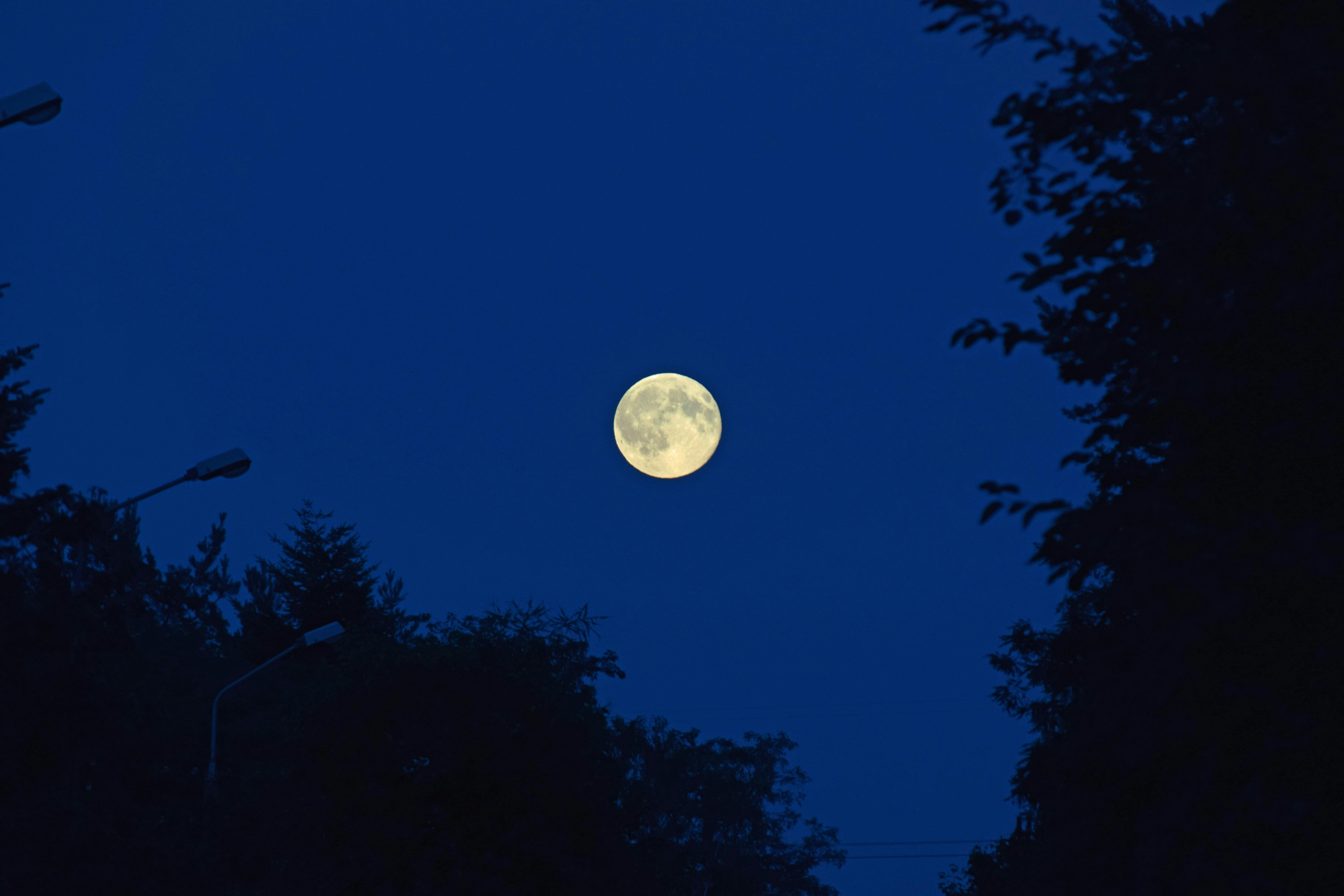 Free stock photo of blue moon  full  moon  moon 