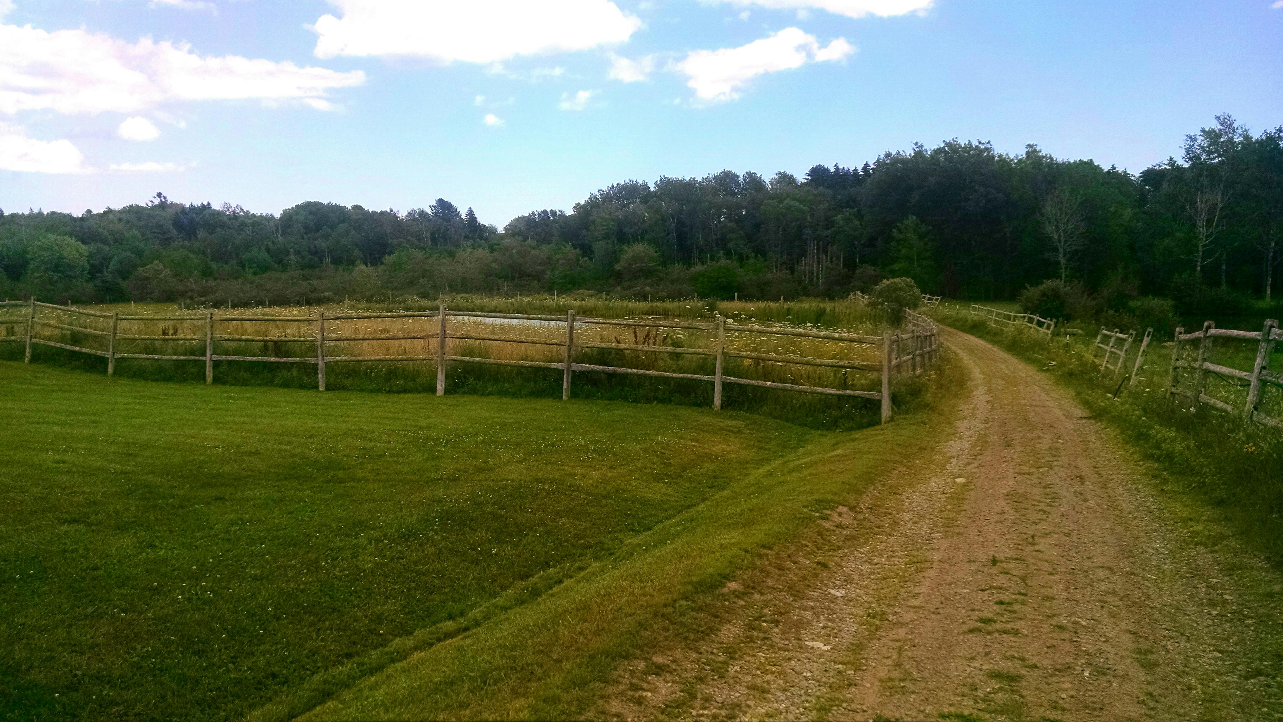 Free stock photo of country, farm, rural