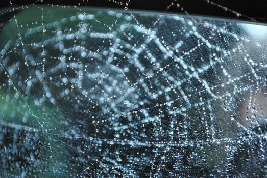 Free stock photo of raindrops, cobweb, spider's web