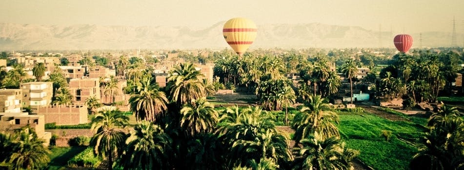 HD wallpaper of summer, palms, transportation, hot-air balloon