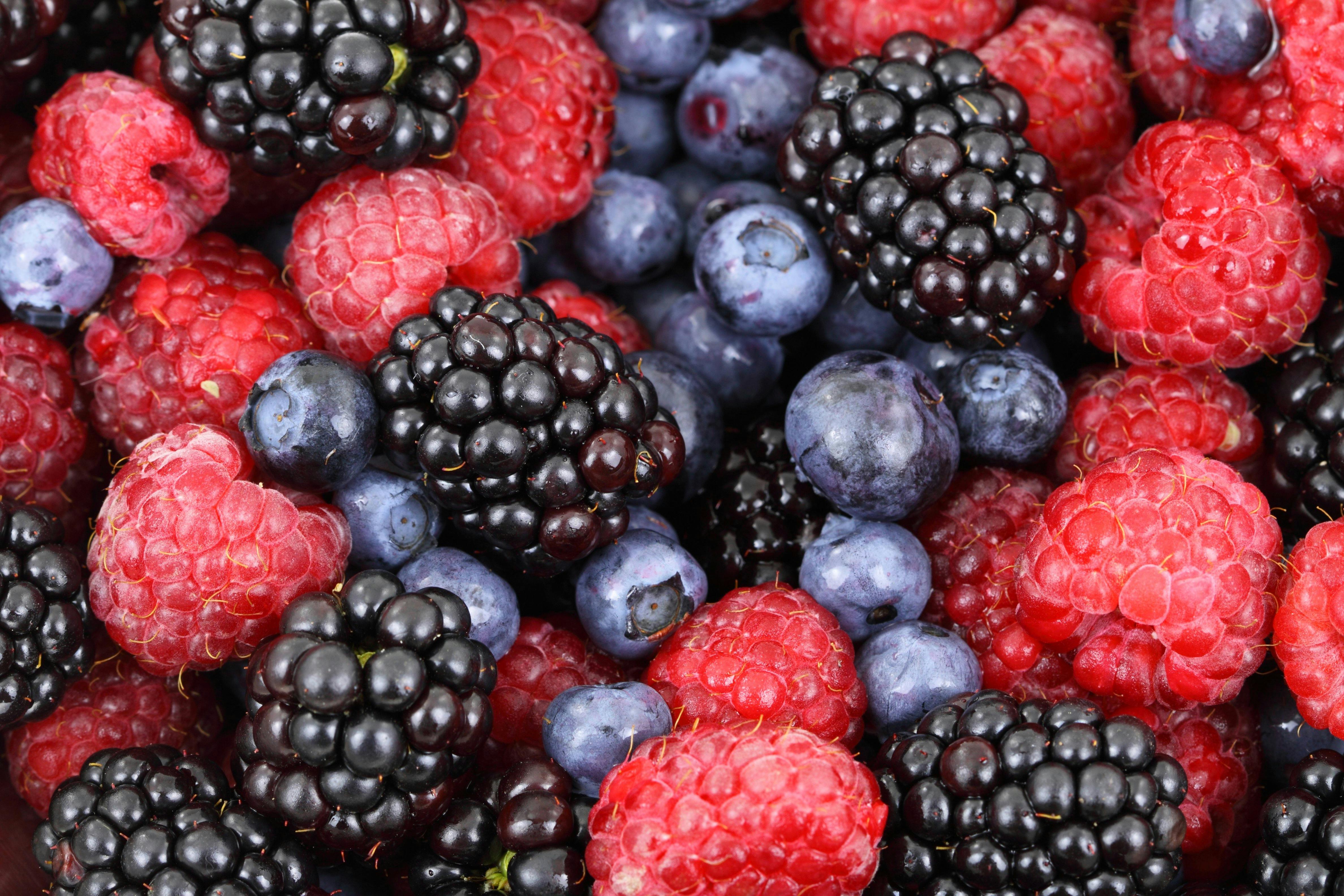 background berries berry blackberries 87818