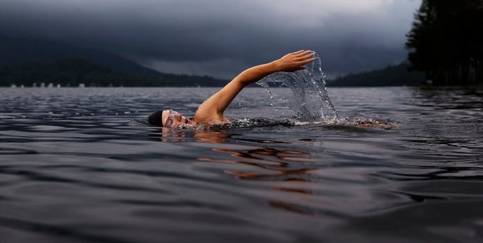 Free stock photo of lake, sport, swimming, scene