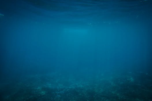 Free stock photo of sea, water, blue, ocean