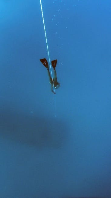 Free stock photo of blue, deep diving, deep ocean