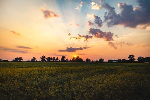 Free stock photo of nature, sky, sunset, clouds