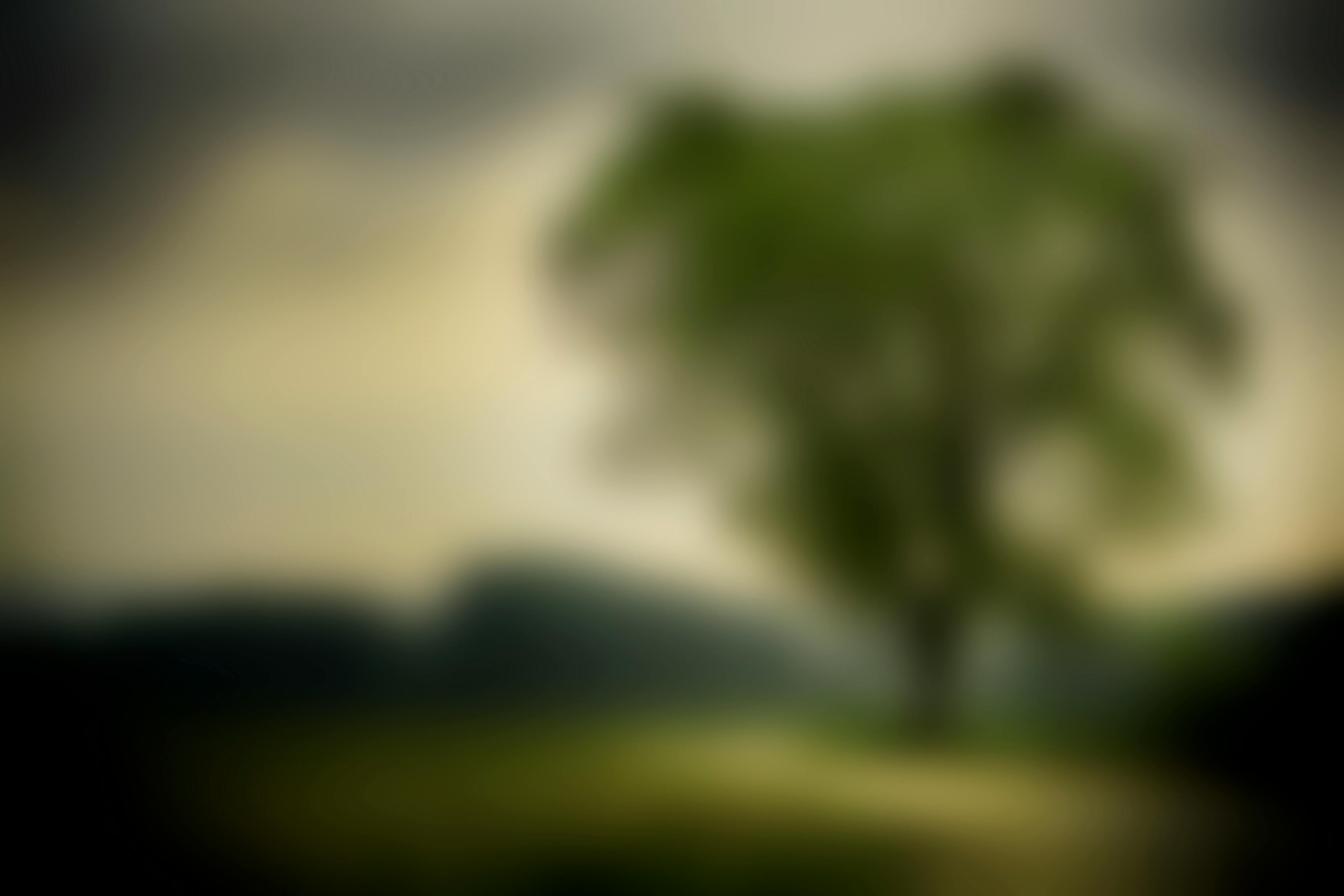 Background Blur Blurred Green Nature · Free Photo
